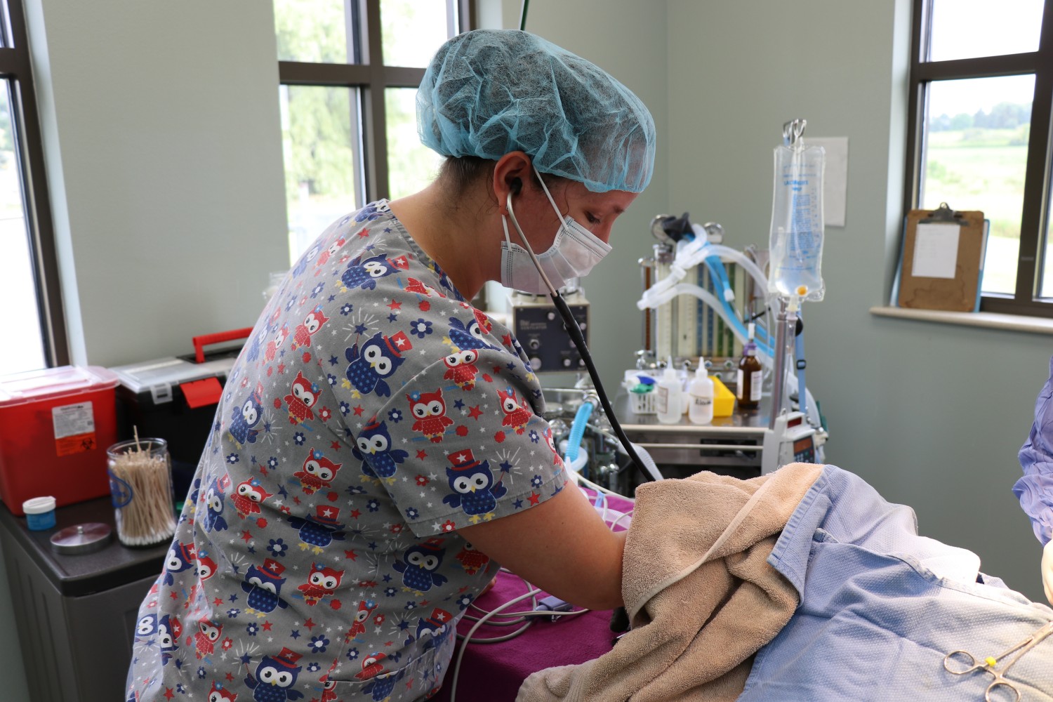 Marshfield Veterinary Service Surgical FAQ's